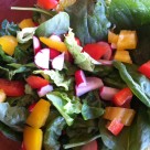 recept zeleninovy salat